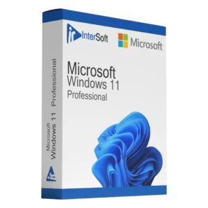 Windows 11 Professional Retail (1 User)
